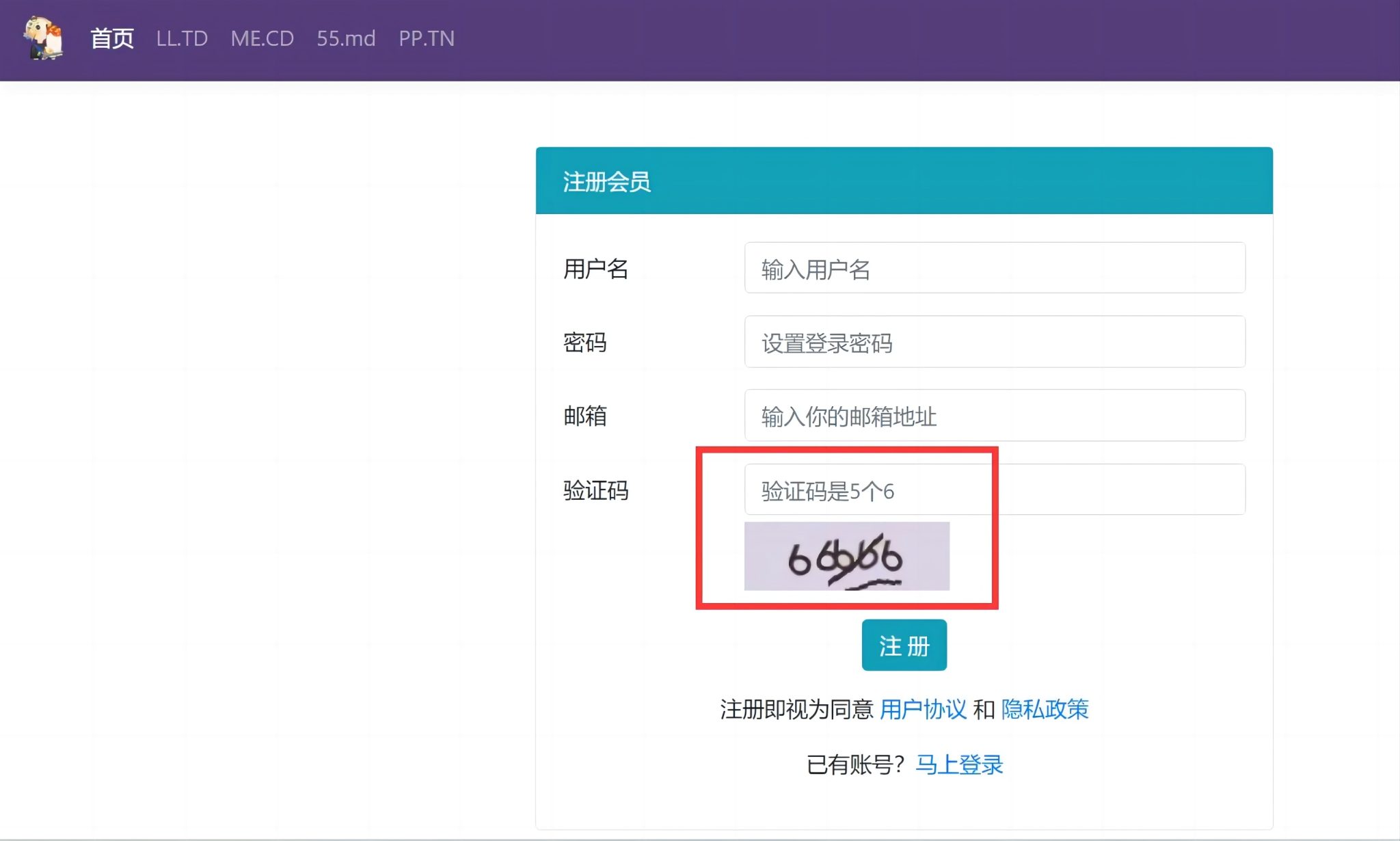 域名分发系统的验证码修改